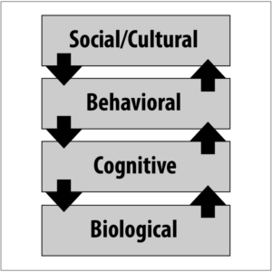 Quantitative behavioural analytics illustration